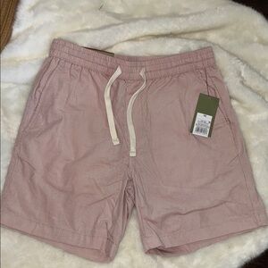 Goodfellow & Co Men's  Shorts in Pink